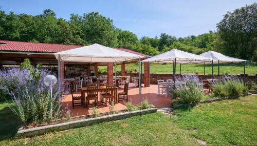 Agriturismo Santa Lorica - Sassetta - Foto 3