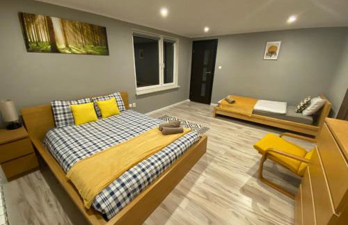 Apartamenty Ogrodowa14 - Foto 16