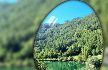 Location MarjoRI - T3 Le Kakariki - Foto 35