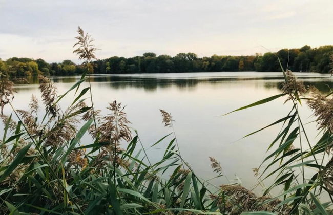 Flat in Zwickau Near August Horch Museum - Foto 33