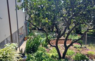 Apartments with parking space Ivan Dolac - Hvar - 24264 - Foto 5