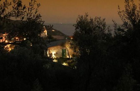 The Garden - Foto 33