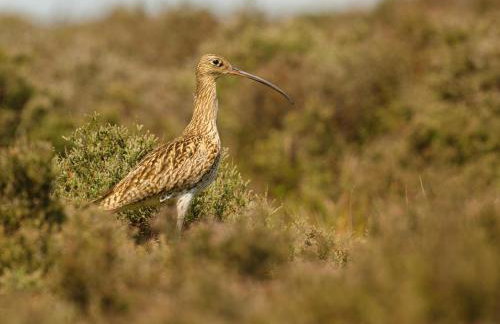 4 Bed in Whitby oc-g0042 - Foto 29