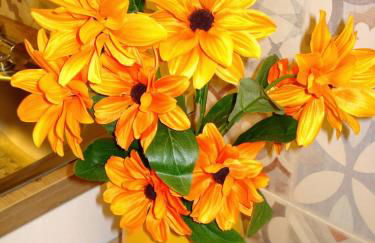 Severino Sweet Home - Foto 36