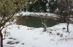 CHALET Σπιτι στο βουνο - Foto 23