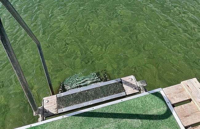 10 Person Holiday Home in Dannemare - Foto 19