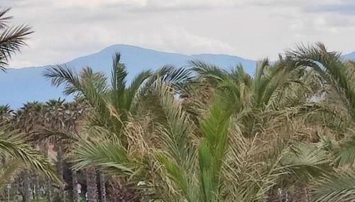 Charmant appartement à Sainte Marie la mer (66470) - Foto 2