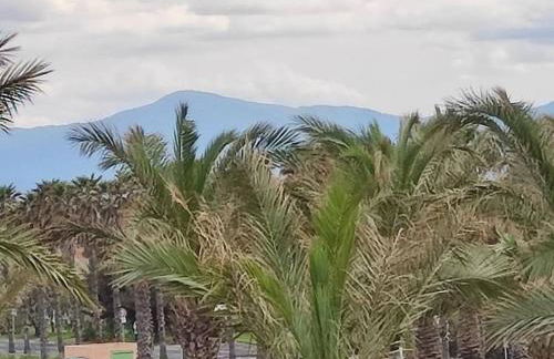 Charmant appartement à Sainte Marie la mer (66470) - Foto 2