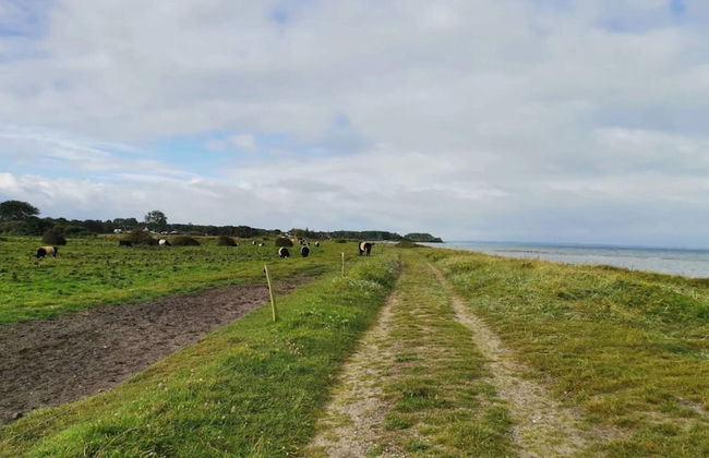 Luxury Beach House With Pool - By Traum Ferienwohnungen - Foto 20