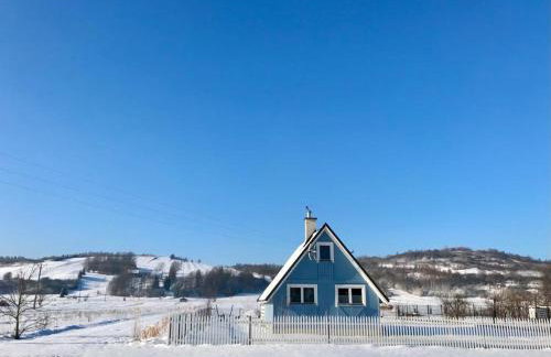 U Ewy pod Brzozami - Foto 2