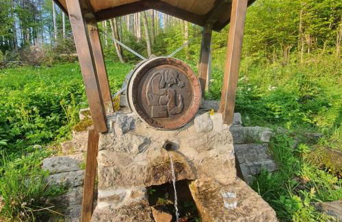 Villa im Harz - Deluxe Appartment - Frühstück, Halbpension buchbar - Foto 45