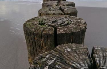 Fewo Ostseeparadies Meerblick - Foto 56