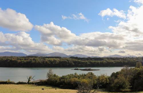 Melin y Coed - Foto 66