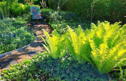 Mitten im Seenland und Spreewaldnah, schöner Garten - Foto 24