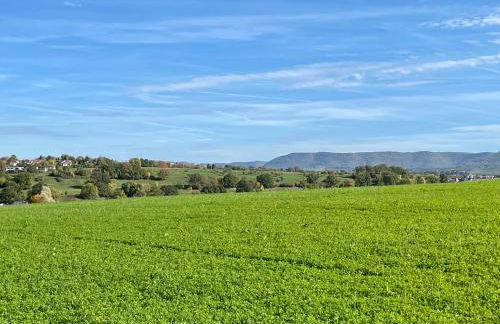 Sonnige 3 Zimmer Wohnung mit schönem Balkon im Grünen - Foto 21
