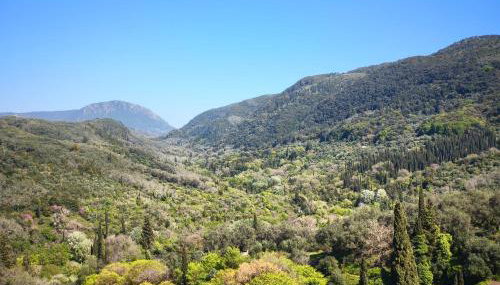 Amazing View Studio - Photo 3