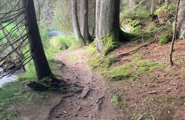 F&F Apartment - Foto 39