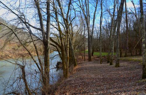 Restful River Cabin, Red River Gorge, KY, River Access & Views - Foto 22