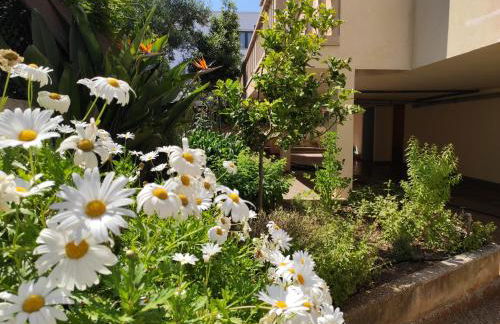 ES GANXO HOUSE PORTO CRISTO - Foto 20