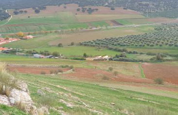 Finca y Casa Rural Los Huertos - Foto 50