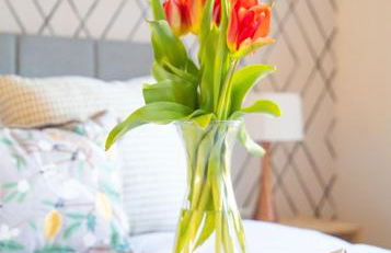 4x Bed Elegant Home with Parking - Photo 27