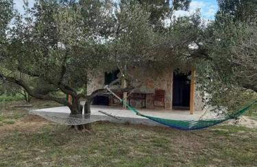 Robinson house Sea & olives - Photo 4