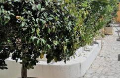 Beach & Golf Design Apartment Marbella - Photo 67