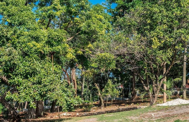 Nianna Eden - Photo 79