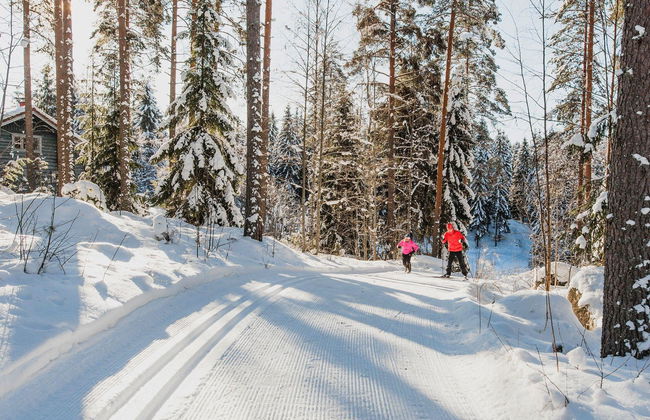 Vesan villa - Foto 30