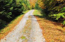 Dębowy Zakątek - Foto 43