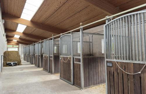 Cozy Holiday Home on a Horse Farm in the Luneburg Heath - Foto 109