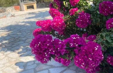 Yulie's Orama - Foto 34