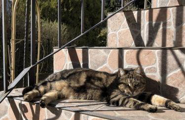 Moja Stay - wyjątkowy dom z sauną - Foto 24