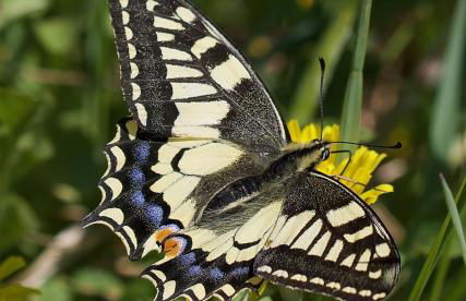 Agriturismo Colpo di Fortuna - Foto 67