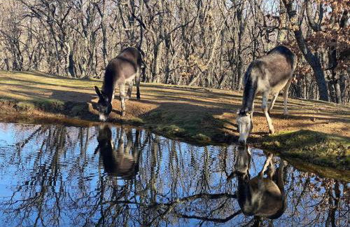 Vistas espectaculares en nuestro Apartamento EL Ca - Photo 9