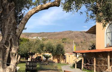 Domus Agricolae Corallina - Foto 27