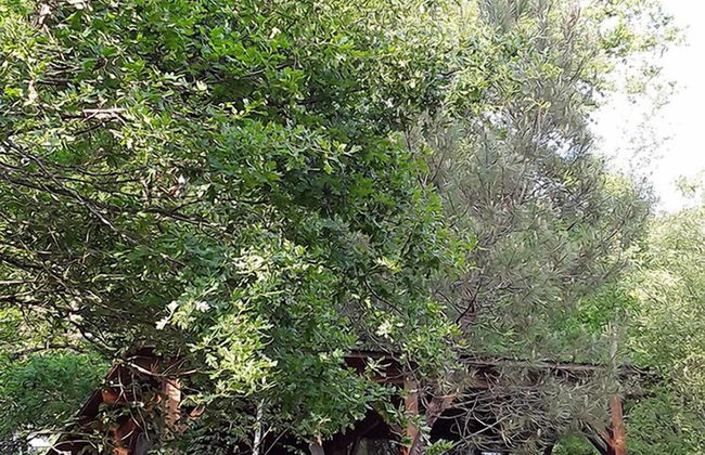 Les Landines - Foto 38