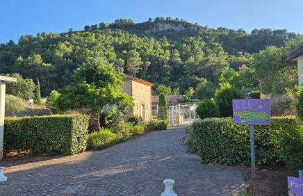 La maison jaune - Photo 10