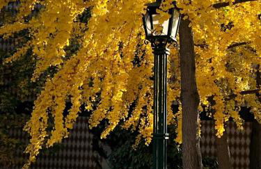 Douro - A Casinha da Ana - Photo 34