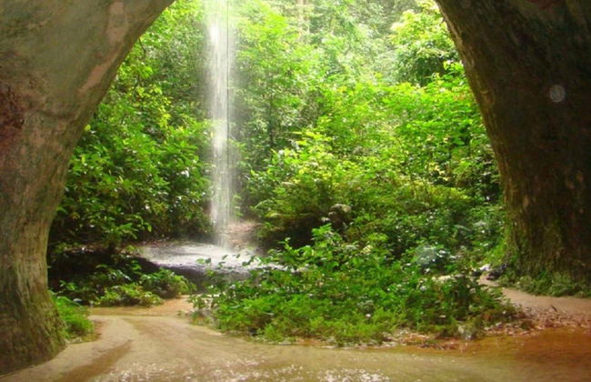 Escursione alle cascate di Presidente Figueiredo - Foto 2
