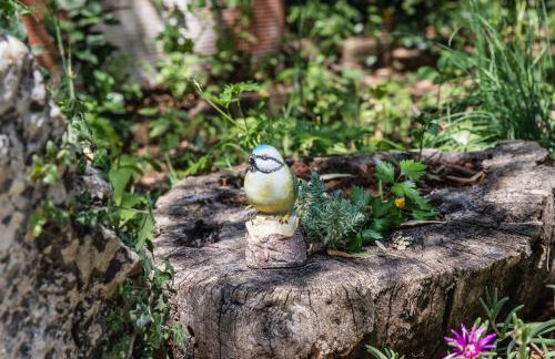 HERITAGE Villa DEA RUSTICA - Foto 59