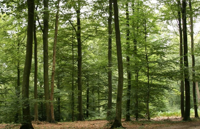 Family Apartment; Bouillon and Semois River - Foto 28