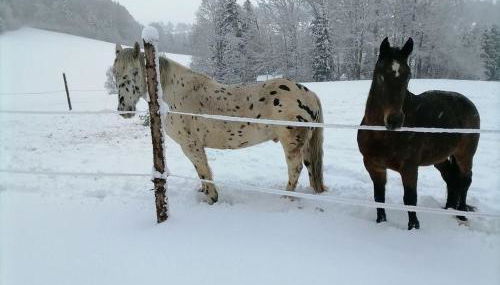 Ranzinger Hof - Foto 4