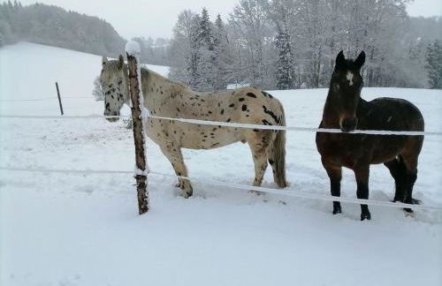 Ranzinger Hof - Foto 4