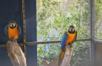 Catalunya Casas An oasis for up to 26 nature loving guests! - Photo 43