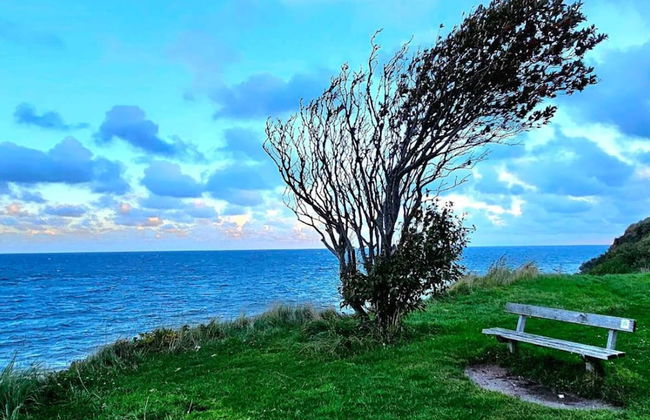 6 Person Holiday Home in Hundested - Foto 38