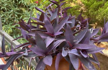 Casa Fritz - Photo 35