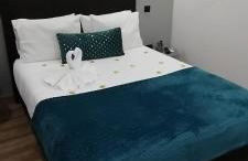 O Salgueiro - Foto 58