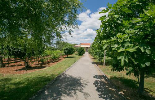 Apartman Vito - Foto 2