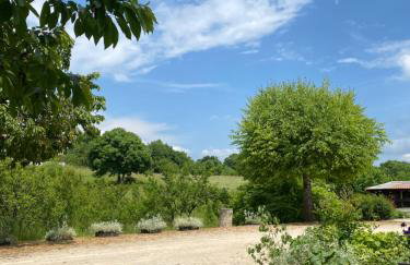 Apartman Laura - Foto 26